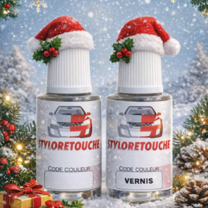 STYLO DE RETOUCHE PEINTURE CITROEN - PEUGEOT EWP BLANC BANQUISE (20ml)